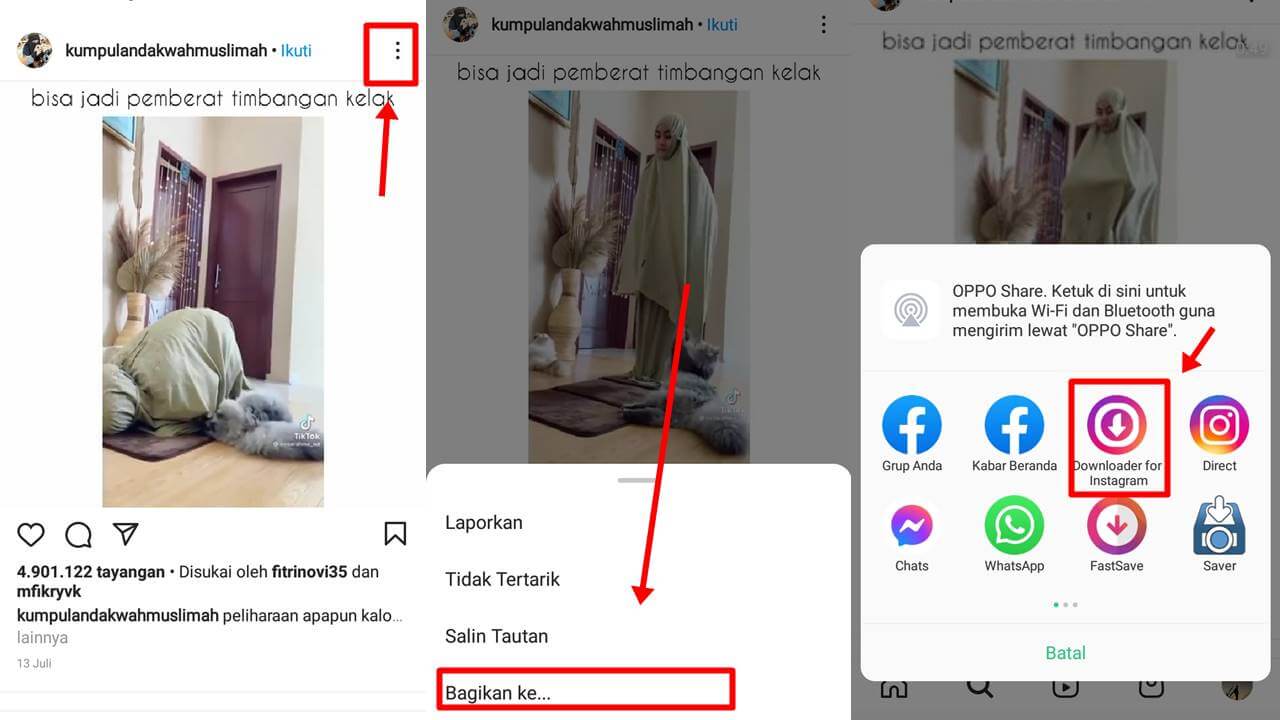 Cara Mengambil Foto di ig Video Downloader for Instagram dari AhaSave