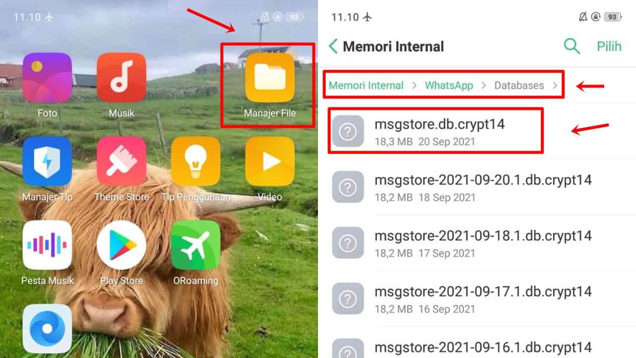 Cara Mengembalikan Chat Whatsapp Yang Terhapus File Manager