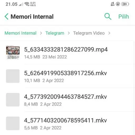 Letak Video Telegram di File Manager